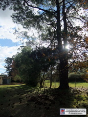 Grounds - Back of Buildings 2